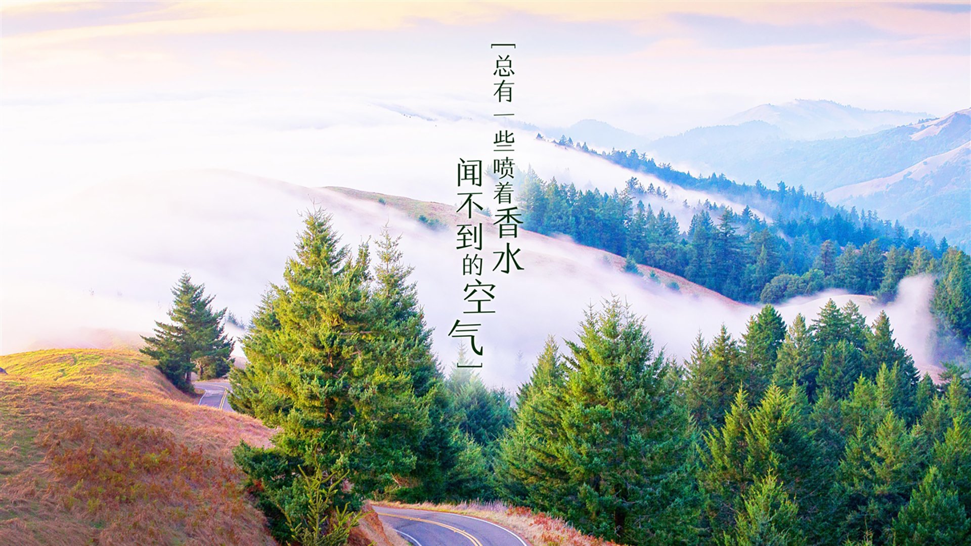 Kaiyun(中国)开云-体育新闻中心主办体育短视频版权保护技术论坛，体育短视频下载