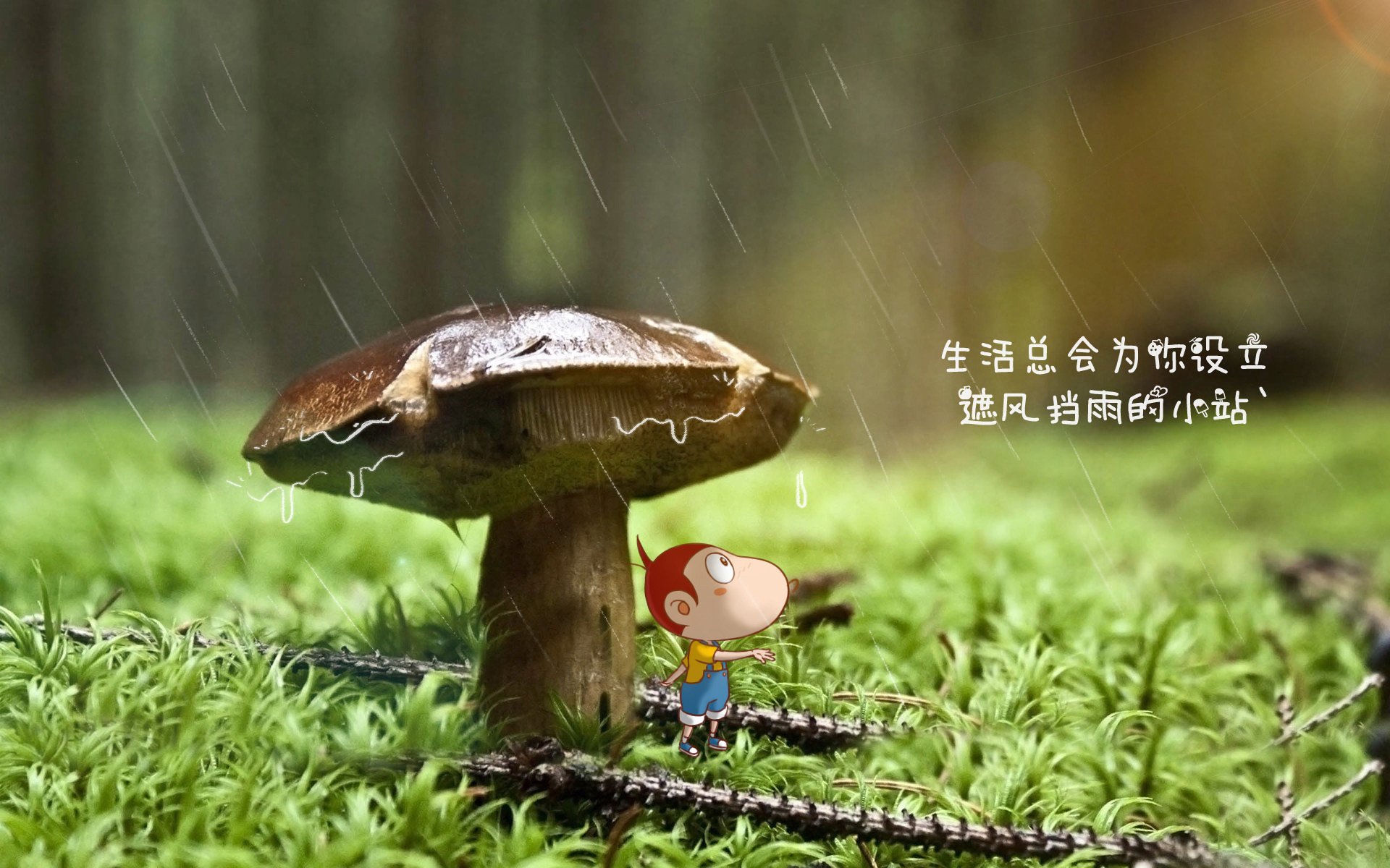 开云·体育官方网站入口-奥运村设置文化展示角传递东道主形象，奥运村的意义