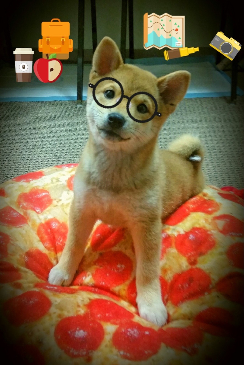 开云官方网站-杨瀚森积极学习老将经验提升比赛成熟度,杨瀚森身高