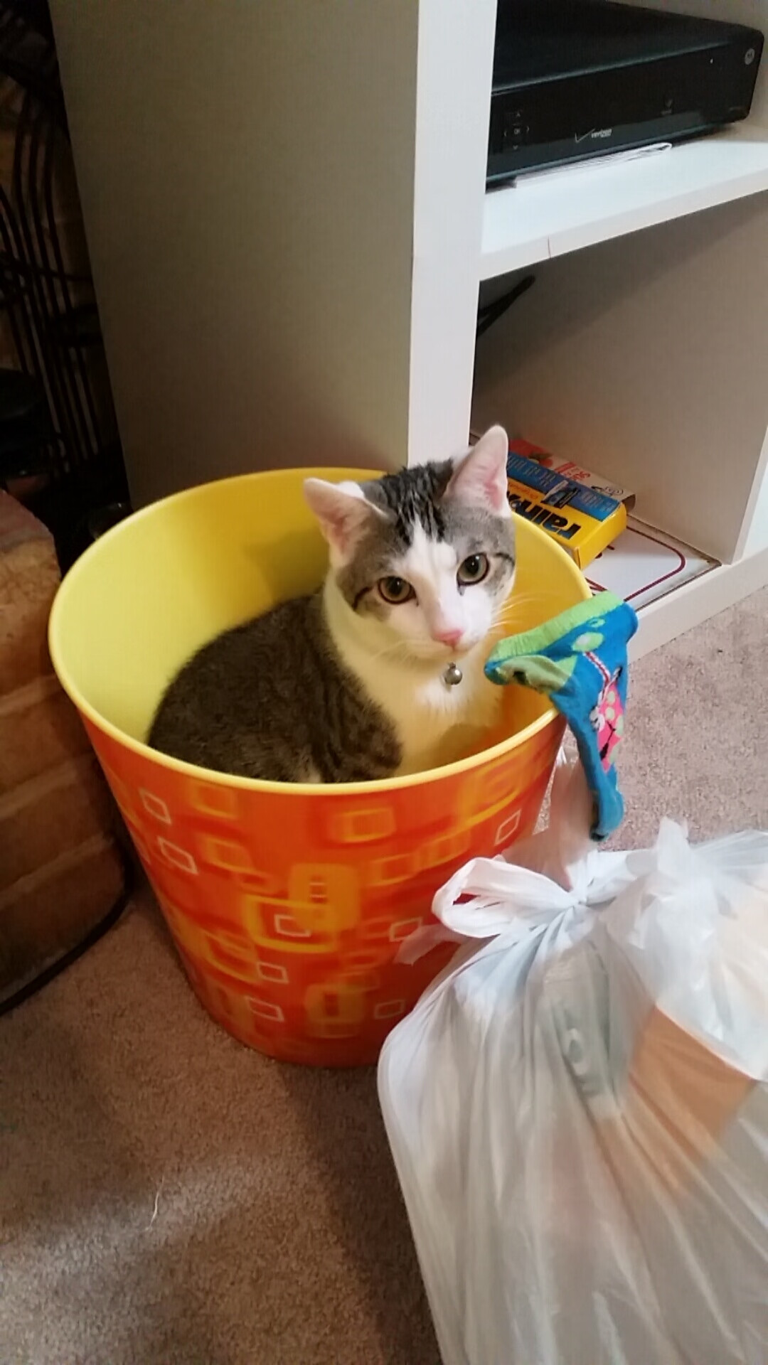 开云官网-世界杯激情夜:激情燃烧,精彩纷纷!,世界调节模式激情世界杯