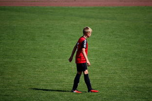 开云kaiyun-勇士训练时长延长球员投入度高，勇士训练短袖