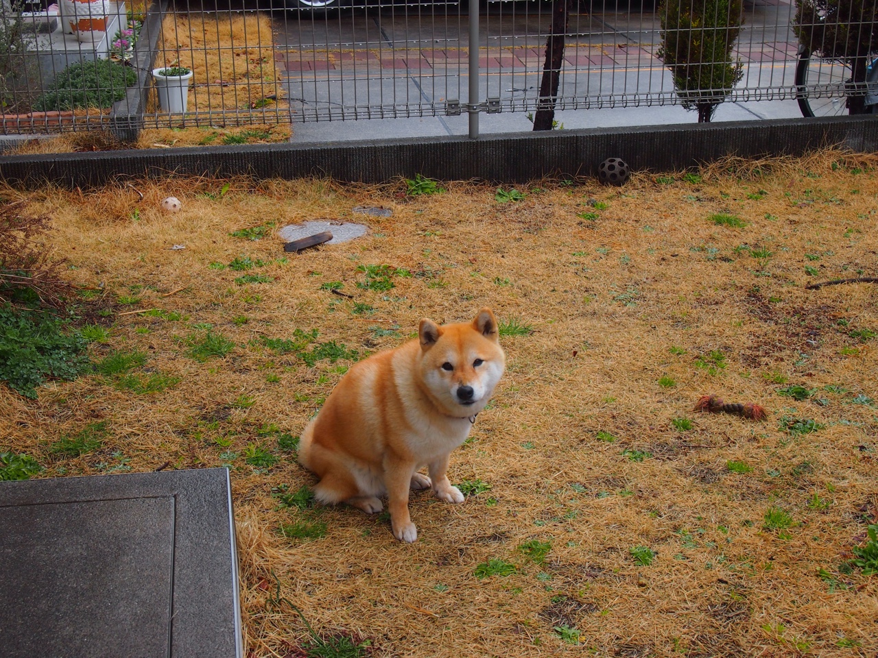 开云体育在线赛事直播-大学篮球联赛发展稳步推进促进学生运动员全面成长，大学开展篮球赛的意义