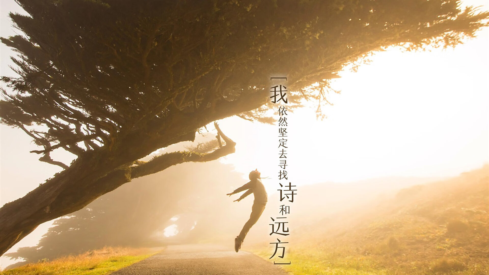 kaiyun-混合泳项目比利时选手发挥均衡，混合泳比赛项目包括