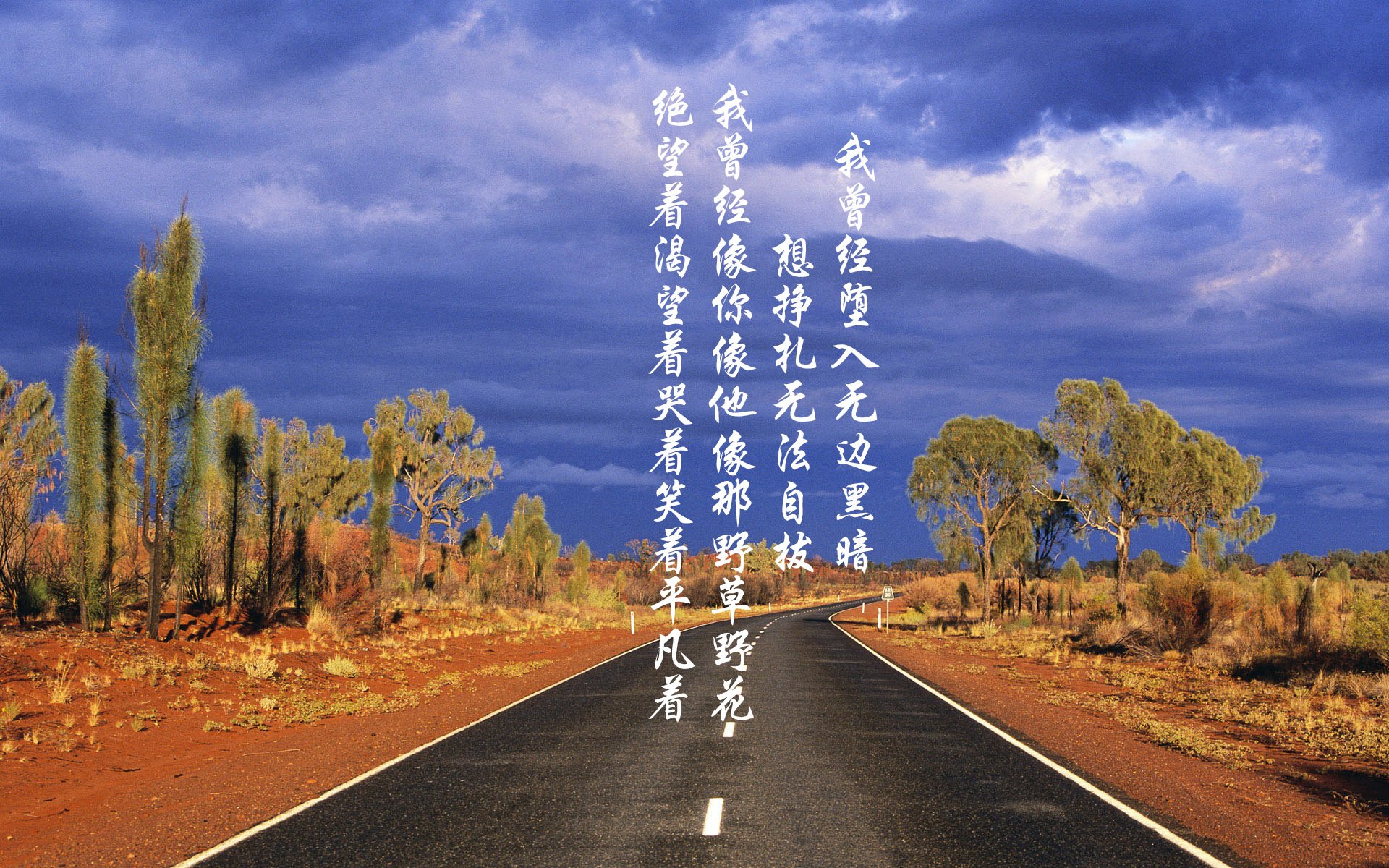 开云官网在线-王嘉男再夺冠军跳远锦标赛,王嘉男东京奥运会跳远成绩