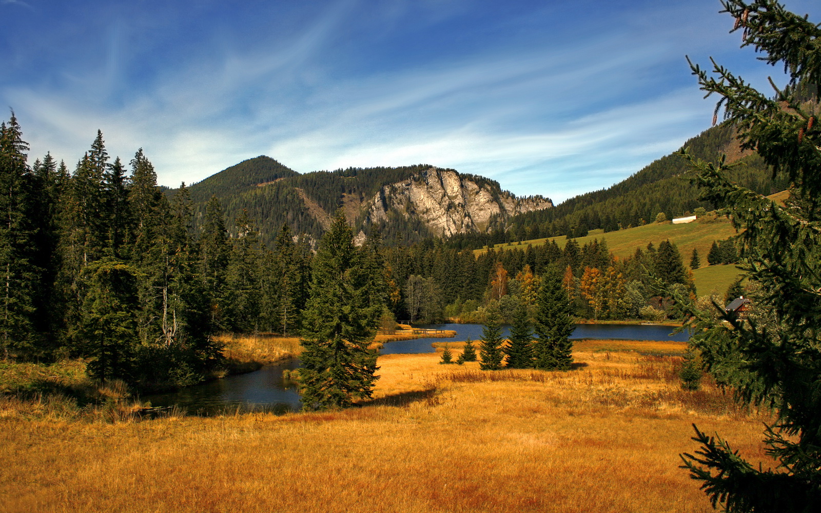 kaiyun开云·官方网站-球星亲子同场亮相,家庭故事感动球迷,球星儿子踢球