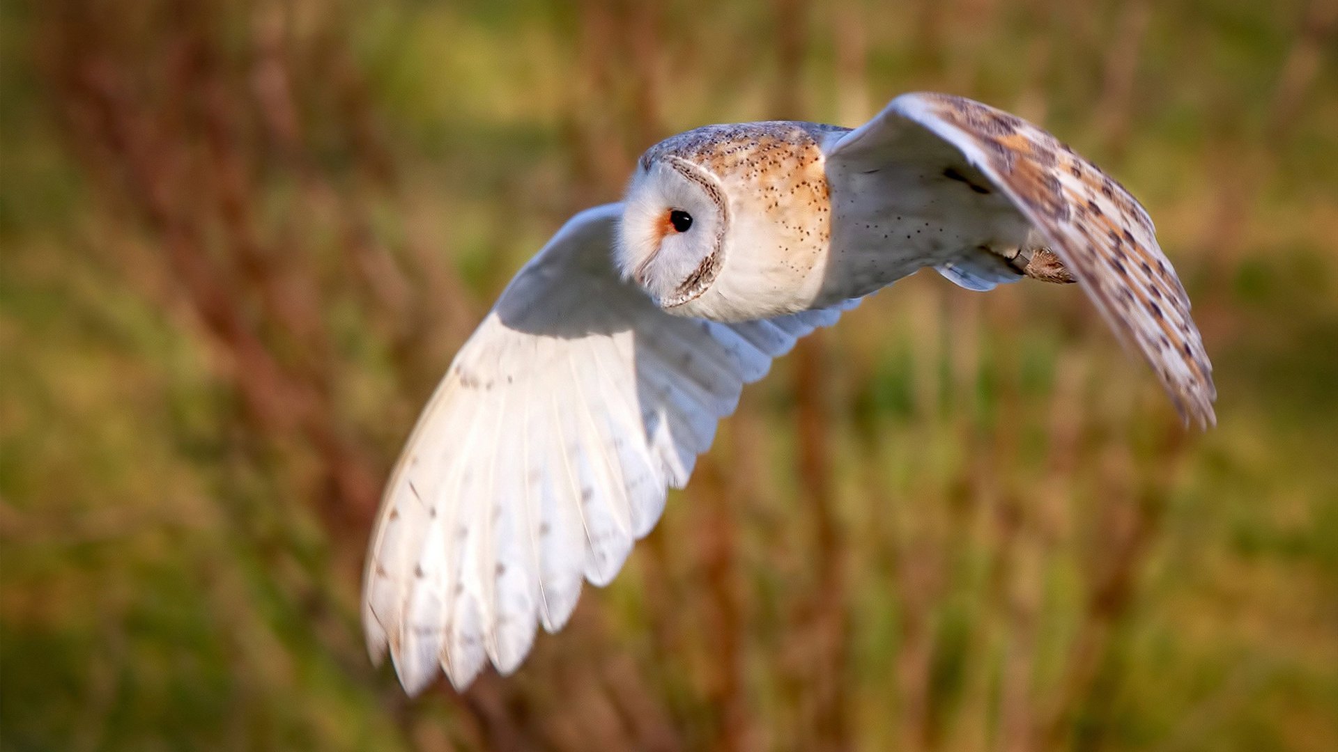 开云官网首页-皮特·斯图斯:凭借精湛防守帮助南非队锁定胜局,斯特皮特