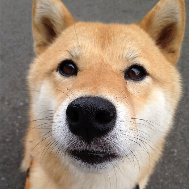 Kaiyun(中国)开云-皇家马德里的青训系统培养出一批新星