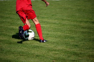 开云体育官方网入口-鹈鹕青训体系被评为联盟样板项目，鹈鹕原来是哪个队