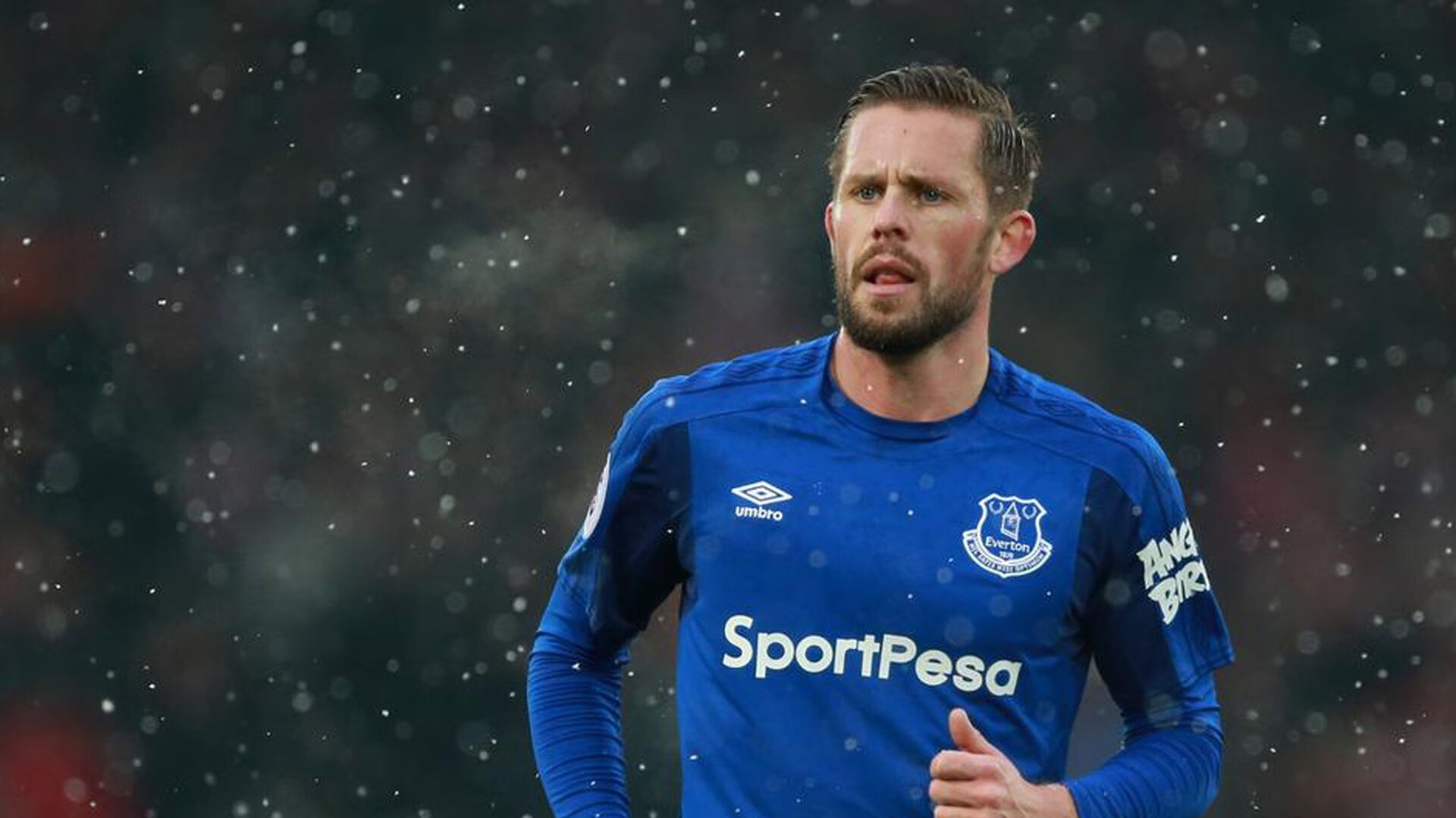 “德甲纵深激烈，实力派队伍狂追榜首”，德甲推荐